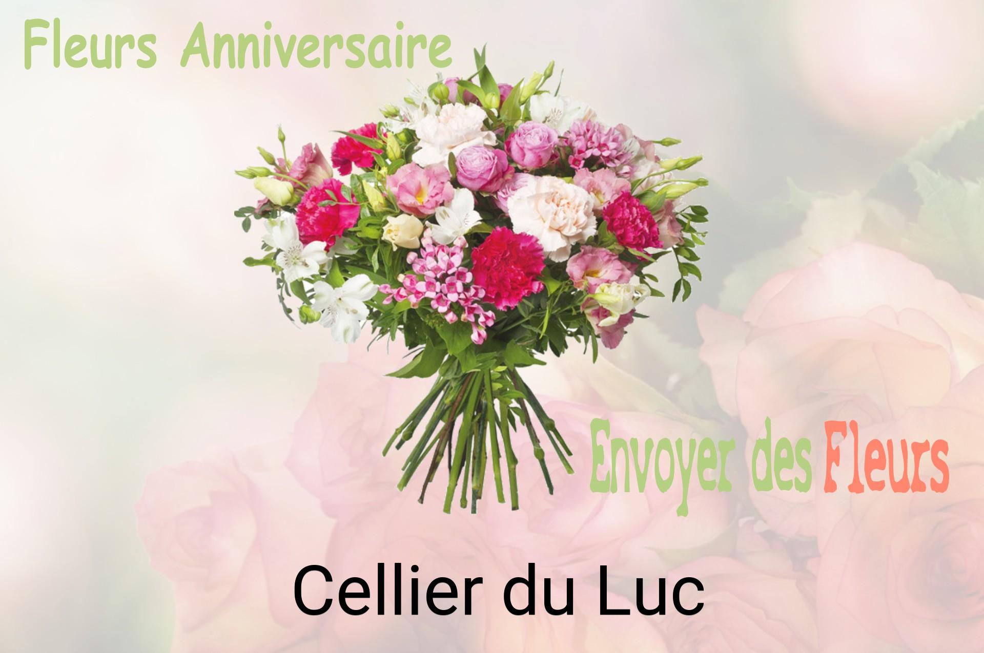 Bouquet de fleurs d’anniversaire livré à Cellier-du-Luc