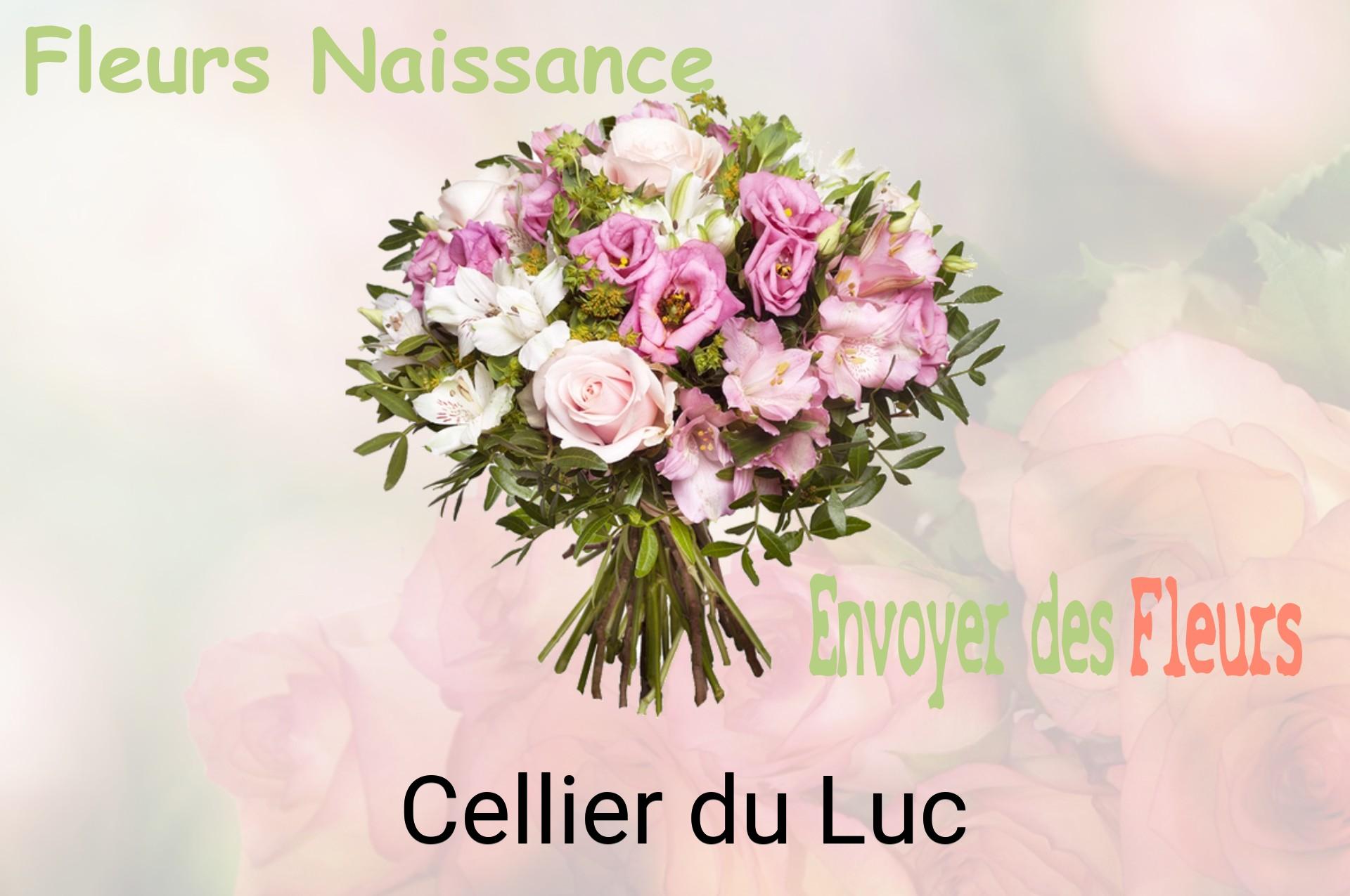 Bouquet de fleurs de naissance livré à Cellier-du-Luc