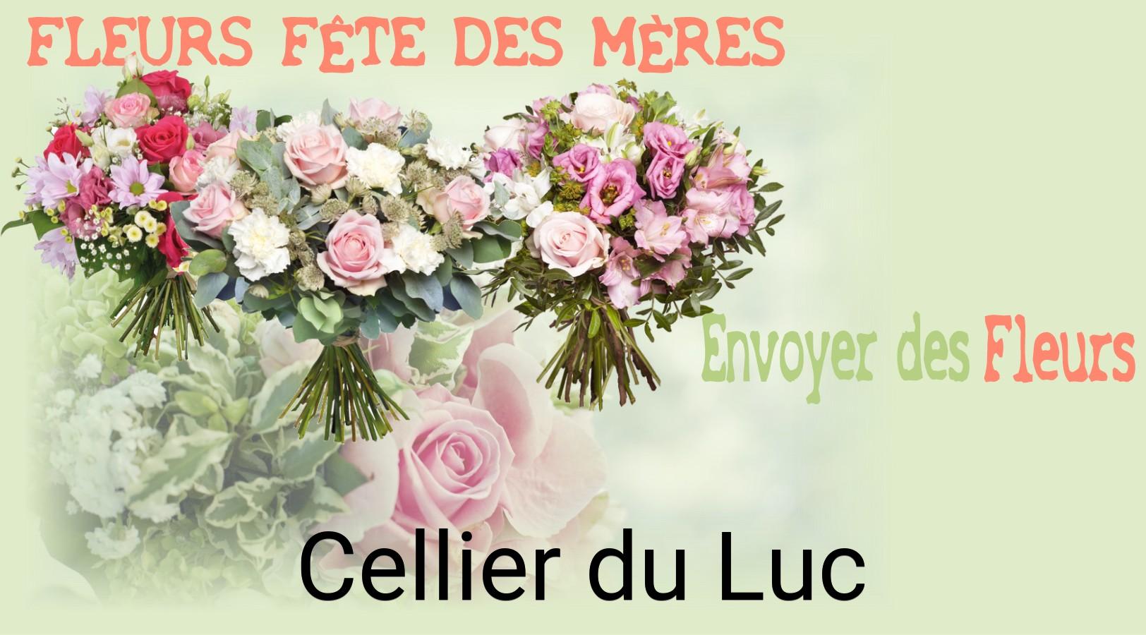 Bouquet de Fête des Mères livré à Cellier-du-Luc